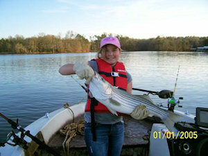 Striped Bass in Lake Hartwell