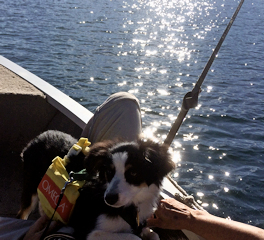 Sadie Rose enjoying her boat on Lake Keowee