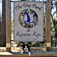 Sadie Rose at Keowee Key Dog Park